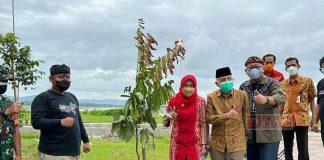 Upaya Selamatkan Bumi, Kadarwati Tanam Pohon di Plaza Kuliner Rowo Jombor
