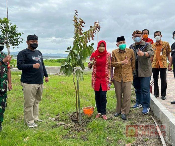 Upaya Selamatkan Bumi, Kadarwati Tanam Pohon di Plaza Kuliner Rowo Jombor