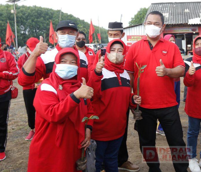Bersama Simpatisan PDI Perjuangan Kota Semarang, Mas Hendi Tanam Mangrove di Pantai Mangunharjo
