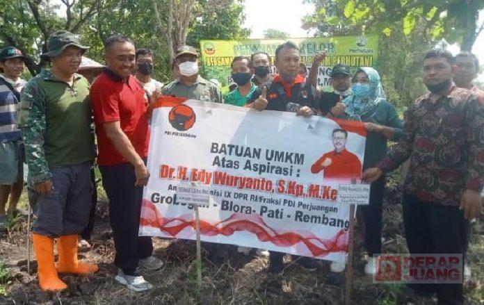Edy Wuryanto Berikan Aspirasi Pengembangan Tanaman Kelor