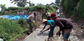 Heri Suyitno Tinjau Pembangunan Jalan Usaha Tani
