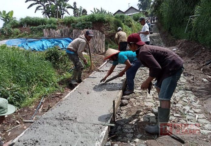 Heri Suyitno Tinjau Pembangunan Jalan Usaha Tani