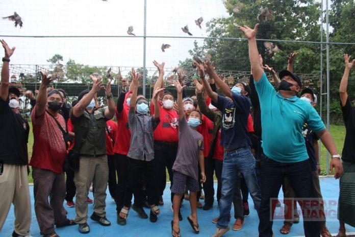 Hobi Pelihara Perkutut, Ngesti Nugraha Hadiri Latihan Bersama Lomba Perkutut KPPTL