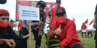 Kader Banteng Cilacap Laksanakan Tanam Pohon, Taufik: Kado Ulang Tahun untuk Ibunda Ketua Umum