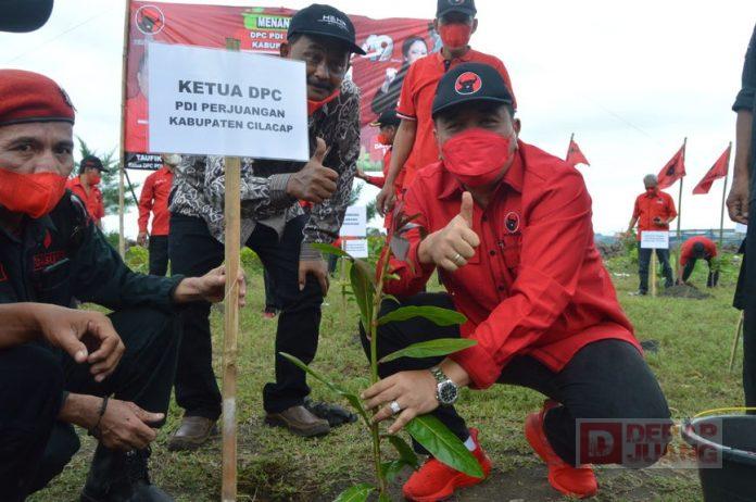 Kader Banteng Cilacap Laksanakan Tanam Pohon, Taufik Kado Ulang Tahun untuk Ibunda Ketua Umum