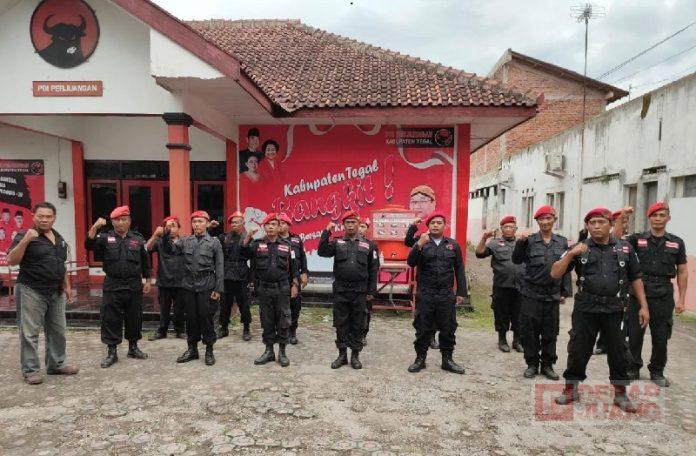 Kawal Hattrick 2024, Satgas PDI Perjuangan Tegal Siap Kawal, Siap Terdepan