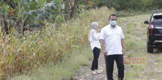 Mas Hendi Kembangkan Wisata Paralayang Rowosari di Semarang