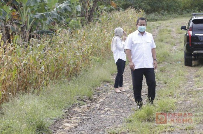 Mas Hendi Kembangkan Wisata Paralayang Rowosari di Semarang