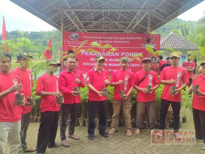 Merawat Pertiwi, DPC Wonosobo Tanam 1.000 Pohon Di Kumijing