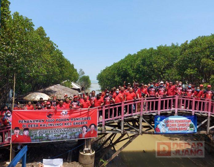 PDI Perjuangan Brebes Rayakan HUT Partai dan Ketua Umum dengan Gerakan Tanam Pohon (2)