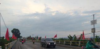 Pasang Ribuan Bendera Partai, DPC Grobogan Siap Meriahkan HUT Partai