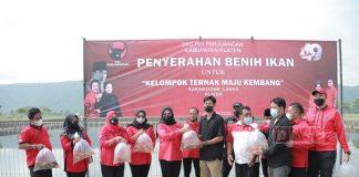 Rangkaian HUT Partai, DPC Klaten Serahkan 40 Ribu Benih Ikan