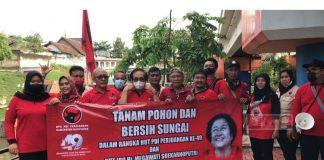 Semarakkan HUT Ketua Umum Partai, Banteng Banyumas Gelar Tanam Pohon