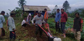 Sri Haryati Serahkan Bantuan Kepada Kelompok Tani Lestari Wanayasa
