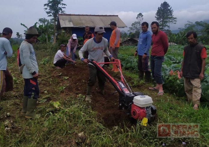 Sri Haryati Serahkan Bantuan Kepada Kelompok Tani Lestari Wanayasa