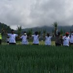 Bupati Afif Hadiri Panen Raya Daun Bawang
