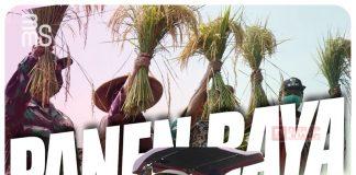 Bupati Demak Tegaskan, Gotong Royong Atasi Ketidakstabilan Harga Hasil Panen