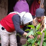 Hartanti Gelar Silaturahmi Dengan Bercocok Tanam