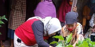 Hartanti Gelar Silaturahmi Dengan Bercocok Tanam