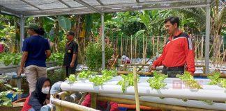 Kader PDI Perjuangan Banjarnegara Kembangkan Teknologi Jarwo Riting