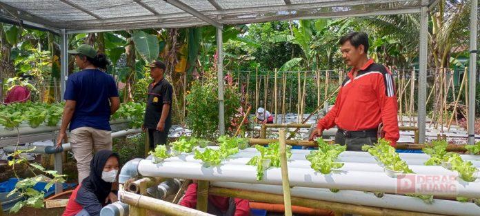 Kader PDI Perjuangan Banjarnegara Kembangkan Teknologi Jarwo Riting