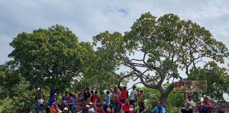 Mbak Dhanies Gelar Giat Penanaman Pohon Di Watu Lumpang