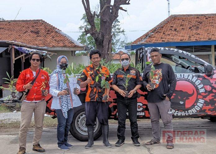 Tanam Pohon Tabebuya, Agung Satria Mencegah Polusi Air dan Banjir'