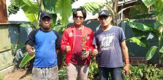 Tangkal Banjir, Baguna Kota Pekalongan Bagikan 4.000 Bibit Pohon ke Warga