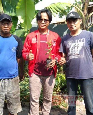 Tangkal Banjir, Baguna Kota Pekalongan Bagikan 4.000 Bibit Pohon ke Warga