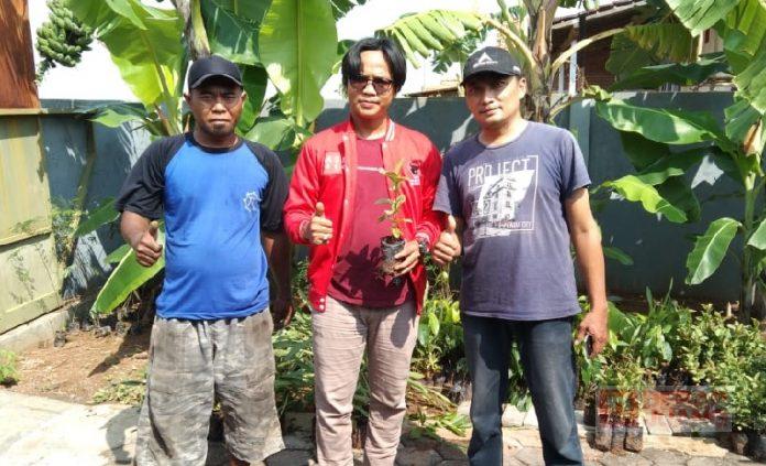 Tangkal Banjir, Baguna Kota Pekalongan Bagikan 4.000 Bibit Pohon ke Warga