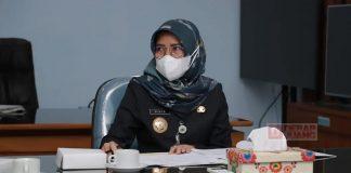 Wabup Kebumen Bersama BKKBN Berkomitmen Atasi Stunting