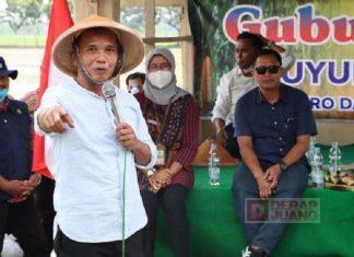 Sumanto Dorong Pemerintah Lakukan Swasembada Kedelai