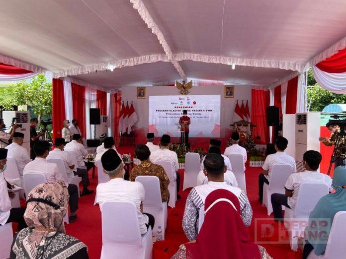 WhatsApp Image 2022-02-25 at 12.46.44