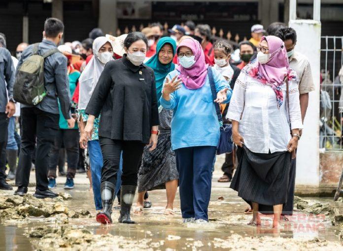 Datangi Lokasi Banjir di Lamongan, Puan Dorong Normalisasi Sungai dan Pembuatan Pintu Air