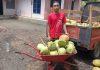 Lirik Peluang Ekonomi Jelang Puasa, KJ Cilacap Distribusikan Kelapa Muda