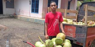 Lirik Peluang Ekonomi Jelang Puasa, KJ Cilacap Distribusikan Kelapa Muda