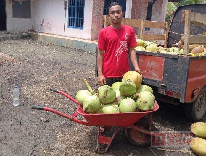 Lirik Peluang Ekonomi Jelang Puasa, KJ Cilacap Distribusikan Kelapa Muda