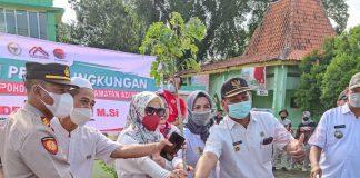 Peduli Lingkungan, Dewi Aryani Tanam 400 Pohon Trembesi