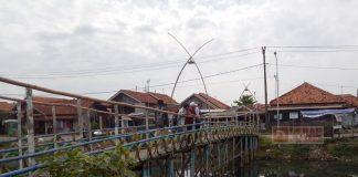 Perbaikan Jembatan Desa Wonokerto, Akan Diperbaiki Tahun ini Lewat Aspirasi Sumar Rosul