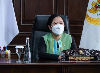 Puan Harap Bambang-Dhony Bangun IKN dengan Cepat dan Berkeadilan