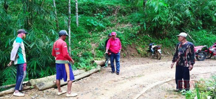 WhatsApp Image 2022-03-11 at 15.31.36