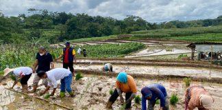 Sumanto Dorong Petani Gunakan Pupuk Organik