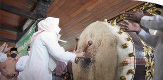 Megengan, Bupati Demak: Langkah Rawat Budaya Kebangsaan