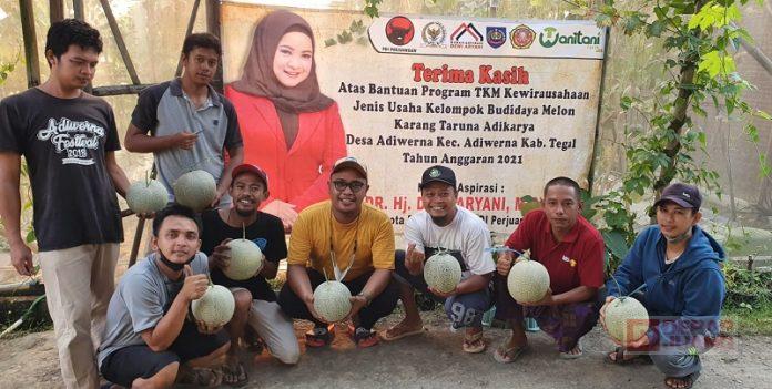 Program TKM Kewirausahaan Sukses, Dewi Aryani Cetak Petani Melon Milenial (2)