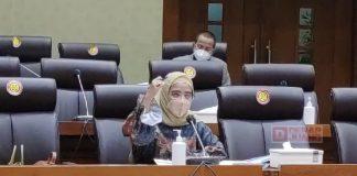 RDP dengan 4 Kementerian, Dewi Aryani Minta Pemerintah Percepat Nakes Honorer jadi PPPK
