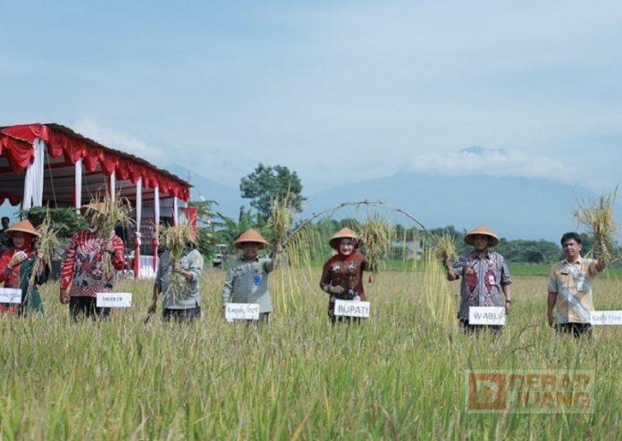 WhatsApp Image 2022-03-31 at 18.35.51