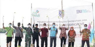 Gandeng PLN, Bupati Demak Tanam 12.500 Bibit Mangrove di Timbulsloko