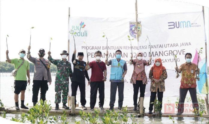 Gandeng PLN, Bupati Demak Tanam 12.500 Bibit Mangrove di Timbulsloko