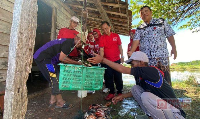 Kader PDI Perjuangan Kota Pekalongan Panen Ikan Nila Bersama Petani Tambak.