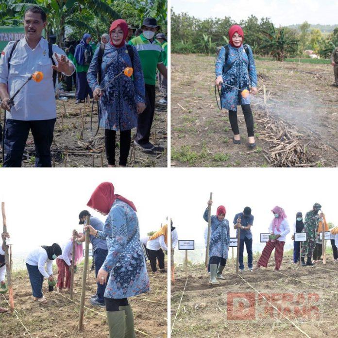 Sri Sumarni Harap Biosoka Dapat Kurangi Ketergantungan Petani pada Bahan Kimia